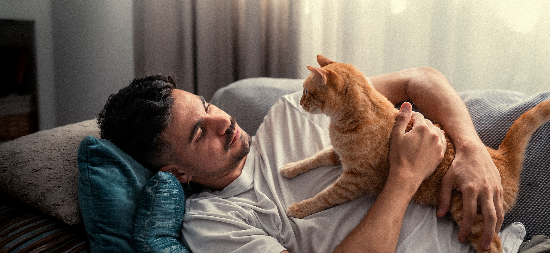 lipidosis hepática en gatos diagnóstico
